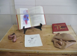 Illustration for article titled James Franco's "Art" Includes Penis-Noses, Masks & A Dead Cat